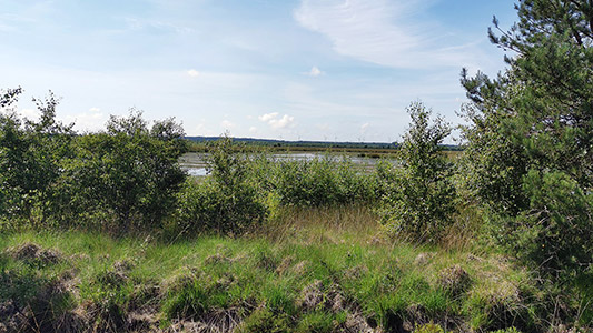 Streckenimpressionen