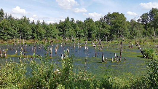 Streckenimpressionen