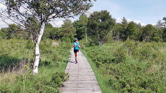 Streckenimpressionen