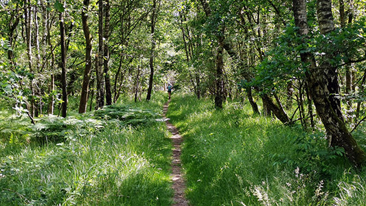 Streckenimpressionen