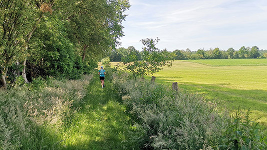 Streckenimpressionen