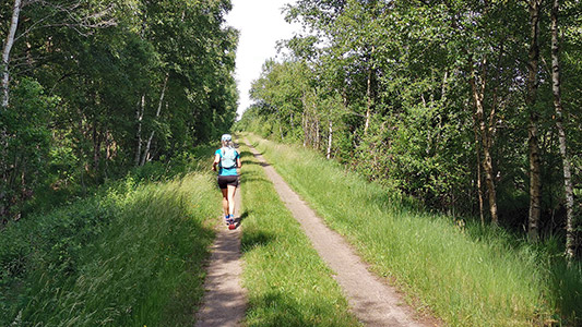 Streckenimpressionen