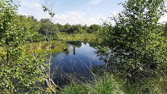 Streckenimpressionen