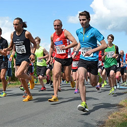 Bokeler Straßenlauf