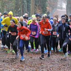 Wingster Silvesterlauf